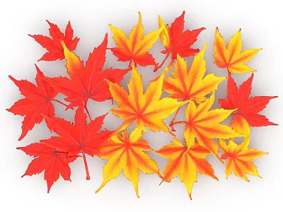 Decorative Ornament Set With Red And Yellow Maple Leaves For Home Decor 3d model