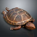 Reptile Turtle With Brown Textured Shell In Dorsal View On Gray Background 3d model