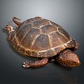 Turtle Turtle Cartoon Turtle Snapping Turtle Chickbill Turtle Reptile Cold Blooded Animal Reptile Reptile Class 3d model