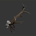 Modern Skull Goat Skull Antler Long Horn 3d model