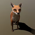 Red Fox Standing Front View With Reddish Brown Fur On Neutral Background Casting Shadow 3d model