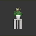 Green Leafy Plants With White Flowers On Hexagonal Wooden And White Stands