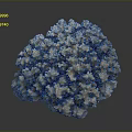 Exquisite Natural Coral Specimen With Intricate Branching Structure On Dark Background