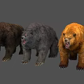 Three Fierce Standing Bears With Different Colored Fur And Roaring Expressions