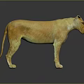Lifelike Golden Yellow Standing Lion Statue With Realistic Details On Dark Background