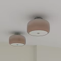 Two Brown Dome Shaped Ceiling Lights Mounted On White Room Ceiling 3d model