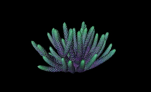 Modern Coral Undersea Coral 3d model