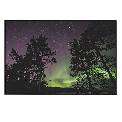 Night Landscape With Starry Sky Green Aurora Borealis And Pine Tree Silhouettes 3d model