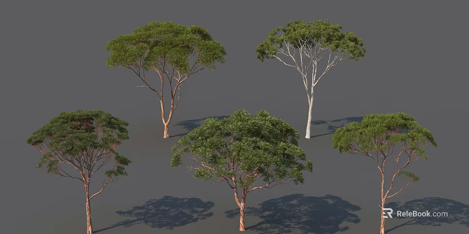 Multiple Arbor Trees With Lush Green Foliage And Diverse Trunk Colors 3d model 