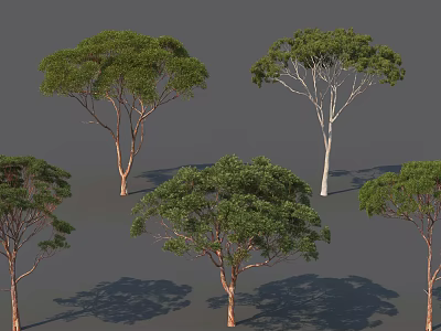 Multiple Arbor Trees With Lush Green Foliage And Diverse Trunk Colors 3d model