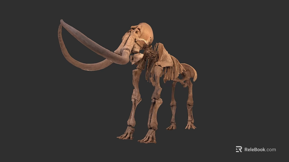 Mammoth Skeleton Sculpture Detailed Prehistoric Mammal Bone Artwork For Scientific 3d model 