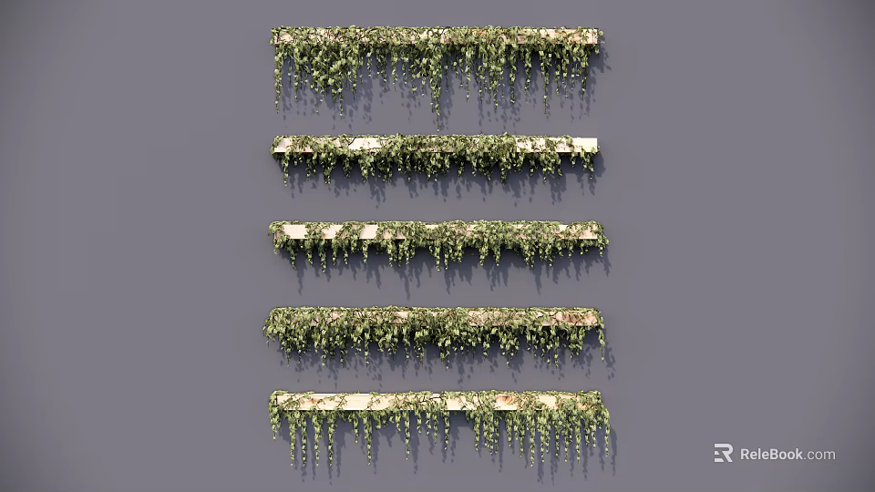 Lush Green Vines Hanging From Multiple Decorative Shelves For Wall Decoration 3d model