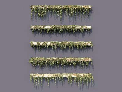 Lush Green Vines Hanging From Multiple Decorative Shelves For Wall Decoration 3d model