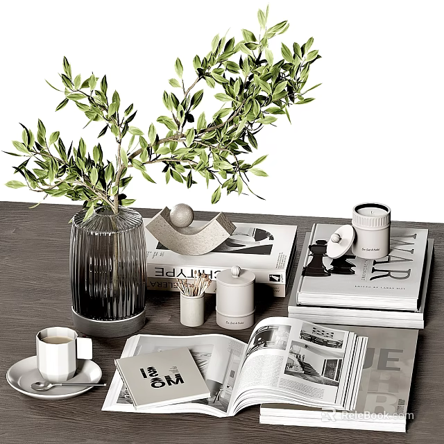 Modern Decorative Ornament Combination with Green Plant Vase Open Books Candle Coffee Cup and Tray 3d model 