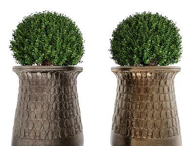 Pair of Bonsai Potted Plants With Round Green Foliage In Textured Metallic Pots 3d model