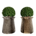 Pair of Bonsai Potted Plants With Round Green Foliage In Textured Metallic Pots