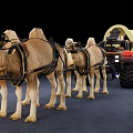 Modern Carriage Camel Carriage 3d model