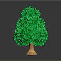 Cartoon Scene Of Green Flower Shaped Tree With Brown Trunk On Gray Background