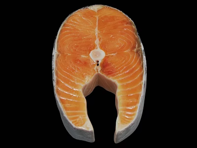 Realistic Salmon Steak Shaped Carpet With Orange White Pattern For Living Room Decor 3d model