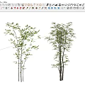Landscape tree, modeling tree, arbor 3d model