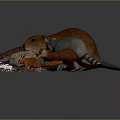 Detailed Small Wild Animal Character Models With Beaver Raccoon Fox And Hedgehog