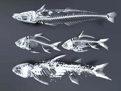 Unique Fish Skeleton Animal Wall Decor for Modern Home Interior Decoration 3d model Unique Fish Skeleton Animal Wall Decor for Modern Home Interior Decoration 3d model