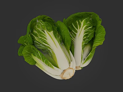 Two Fresh Bok Choy Vegetables with Green Leaves and White Stems on Gray Background 3d model