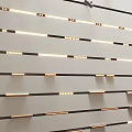 Neatly Arranged Illuminated Downlights And Spotlights On Black Strips Against White Wall