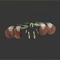 Vibrant Exotic Plant With Red Petals Green Leaves And Golden Stamens Design