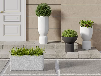 Bonsai Potted Plants At Doorstep With Modern Planters Lush Green Foliage On Staircase Steps 3d model