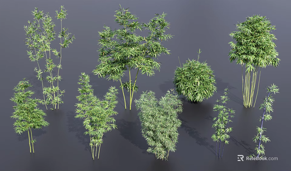 Diverse Bamboo Varieties With Green Leaves Tall Stems And Lush Foliage 3d model 