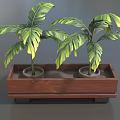 Two Bonsai Potted Plants In Wooden Rectangular Planter With Green Leaves 3d model