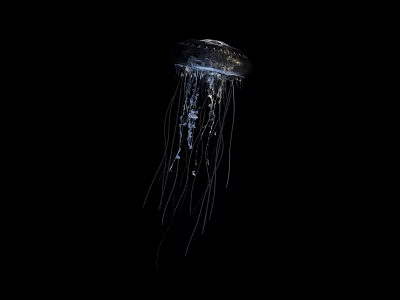 Transparent Jellyfish With Long Glowing Tentacles Floating In Dark Background 3d model