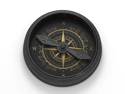 Vintage Black Decorative Compass Ornament With Gold Accents And Directional Markings 3d model