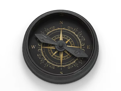 Vintage Black Decorative Compass Ornament With Gold Accents And Directional Markings 3d model