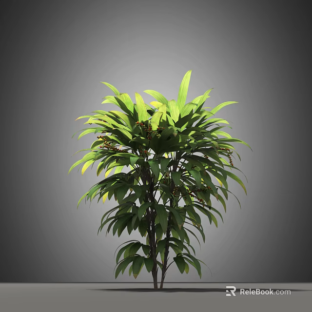 Lush Green Tropical Plant With Dense Foliage And Small Berries For Indoor Decor 3d model 