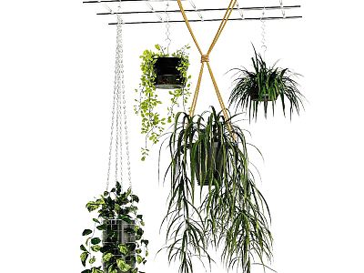 Modern hanging basket green plant hanging basket hanging orchid potted plant hanging flower pot plant flower basket model