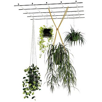 Modern hanging basket green plant hanging basket hanging orchid potted plant hanging flower pot plant flower basket 3d model