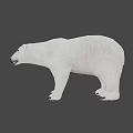 Realistic Polar Bear 3D Model With White Fur And Detailed Claws
