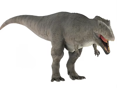 Realistic T Rex Dinosaur Model With Open Mouth And Sharp Teeth 3d model