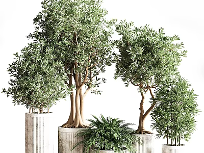 Indoor Decorative Plant Arrangement With Various Tree Types And Potted Greenery 3d model