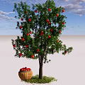 Tall Arbor Tree With Red Fruits Green Leaves And Basket Under Blue Sky