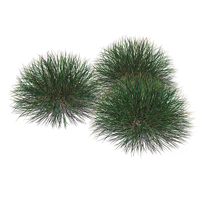 modern grass 3d model