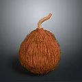 Brown Fibrous Round Food With Curved Stem And Natural Texture