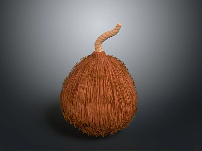 Brown Fibrous Round Food With Curved Stem And Natural Texture 3d model