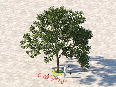 Chinese Soapberry Tree With Lush Green Foliage On Paved Ground In Open Space 3d model