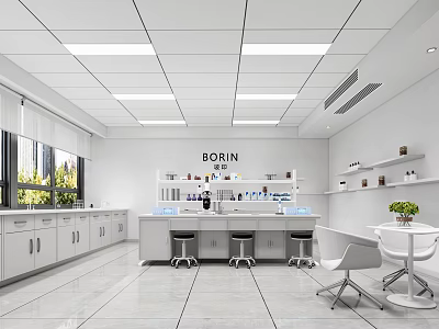 Modern Bright Laboratory Interior With Lab Bench Shelves And Chairs 3d model