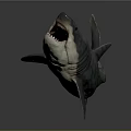 Detailed Shark Model with Open Mouth and Sharp Teeth on Gray Background with Reflection 3d model