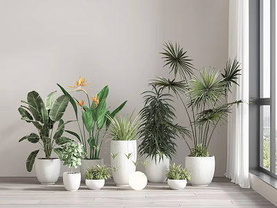 Green plant potted plant combination Sanwei kwai Green plant potted plant potted plant banana leaflet plant tree flowerpot 3d model