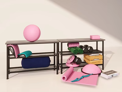 Home Fitness Equipment Organized On Shelves With Pink Exercise Ball Yoga Mat And Dumbbells 3d model